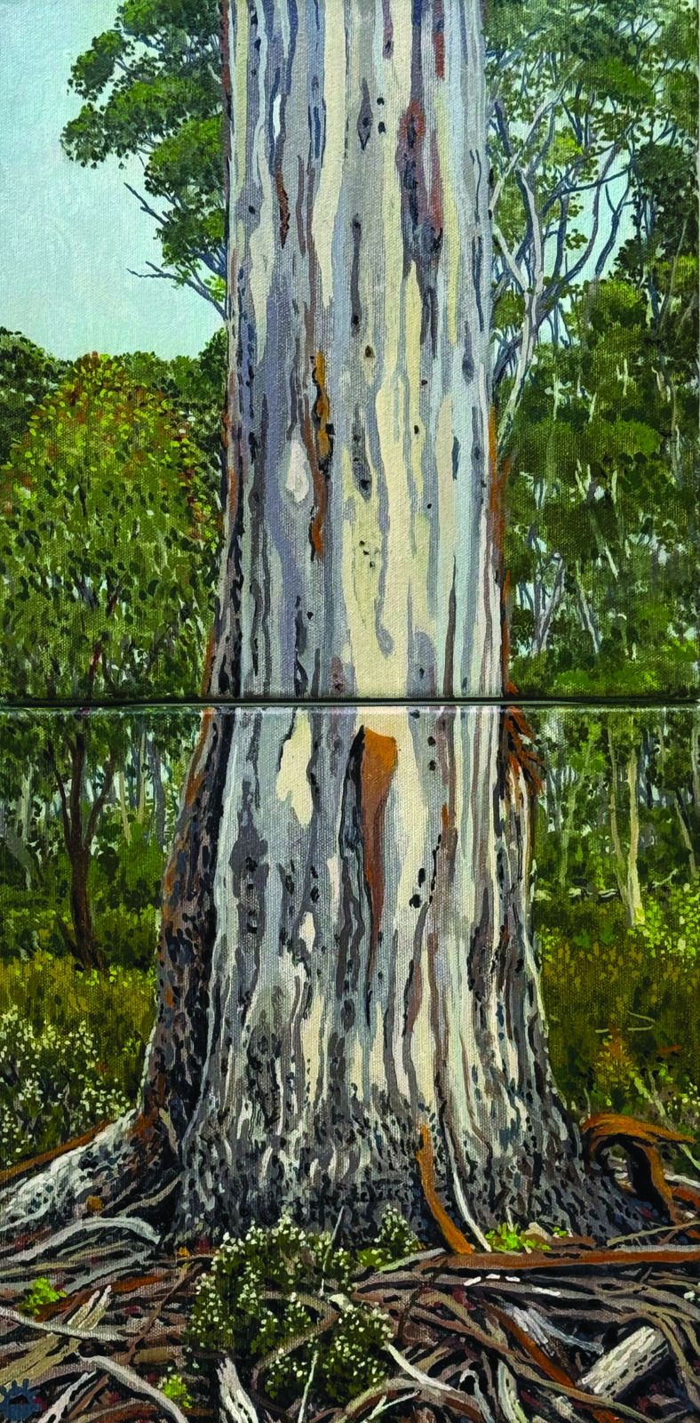 Pine Tier Study