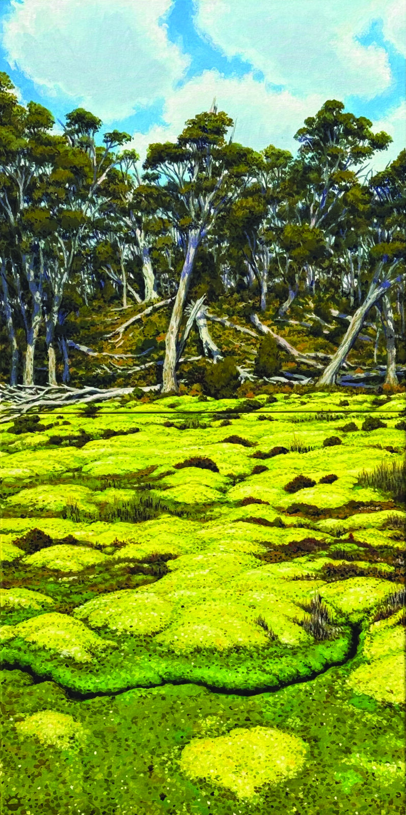 Sphagnum Bog
