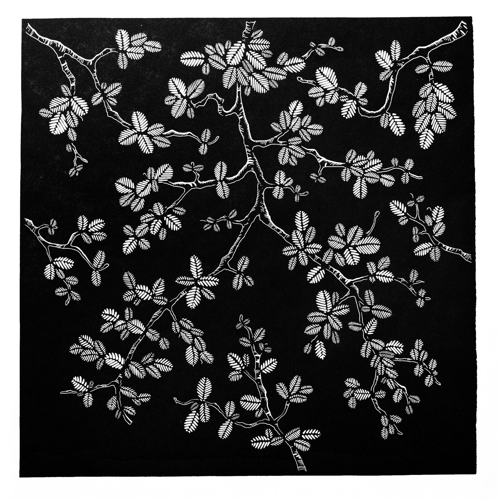 April Fagus